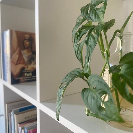 Bnb36 Форлі Екстер'єр фото